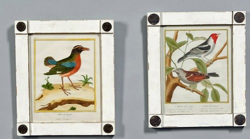 Inventory: A Set of Eight Hand Coloured Ornithological Engravings, Francois Martinet, Circa 1770-86, SOLD &bull;