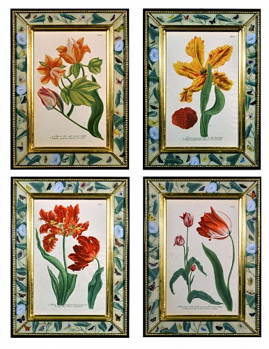 Inventory: A Set of Three Johann Weinmann Engravings of Tulips, Circa 1740., SOLD &bull;