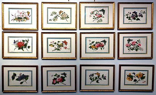 Inventory:  China Trade, China Trade Botanical Studies Set of Twelve with Insects by Youqua Painter Old Street No. 34, Circa 1840-50, $18,000