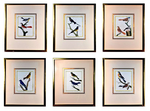 Fran&Atilde;&sect;ois Nicolas Martinet Francois Martinet Set of six Large Framed Bird Engravings, Circa 1770 $4,000