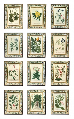 Inventory:  Print, Phytanthoza Iconographia"": Set of Twelve Botanical Engravings by Johann Weinmann, 1740, $25,000