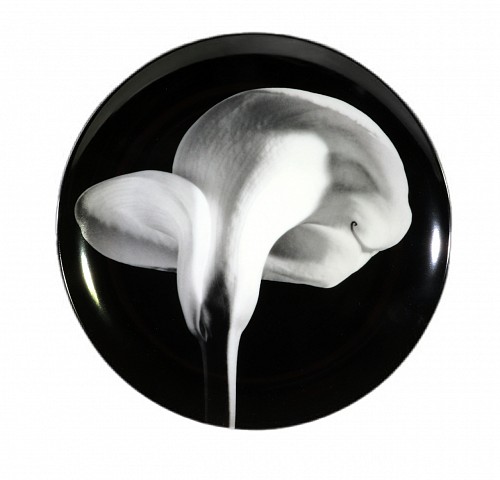 Inventory:  Robert Mapplethorpe, Robert Mapplethorpe Botanical Porcelain Plate, Calla Lily, 1984, 1984, $1,500