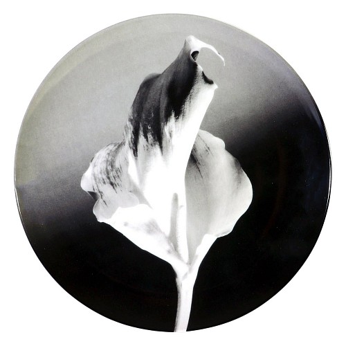 Inventory:  Robert Mapplethorpe, Robert Mapplethorpe Botanical Porcelain Plate, Flower, 1986, 1980s, $2,500