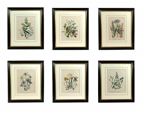 Print Jane Wells Loudon Botanical Prints-A Set of Six, from The Ladies' Flower-Garden, 1843 $3,500