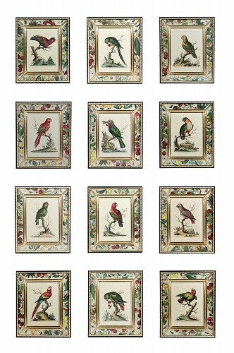 George Edwards !8th-century Engraved Prints of Parrots by George Edwards, 1745 $27,000