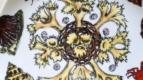 Inventory:  Piero Fornasetti, Vintage Piero Fornasetti Conchiglie Pattern Plate decorated with Sea Anemones, Urchins & Shells, Circa 1960-70's, $650