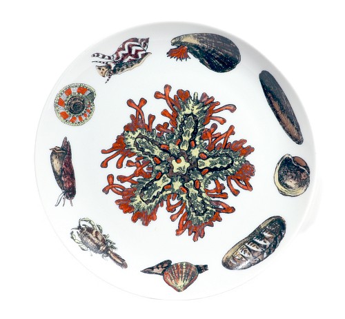 Inventory:  Piero Fornasetti, Piero Fornasetti Porcelain Conchiglie Seashell Plate With Snails and Mollusks, #2, 1960-70s, $650